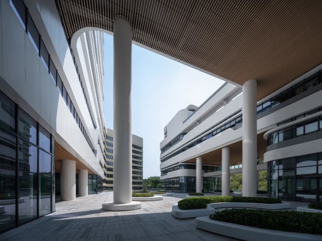 深圳市坪山区疾病预防控制中心 | 深大建筑设计院“钟中+钟波涛”工作室设计案例