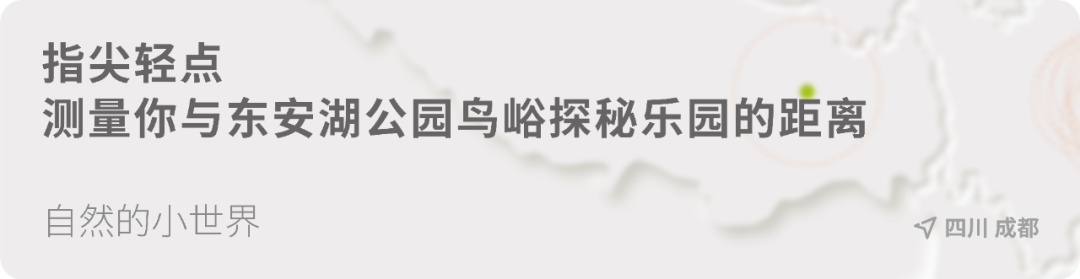 探索湿地鸟儿的秘密 | 成都大运会东安湖公园鸟峪探秘乐园设计案例