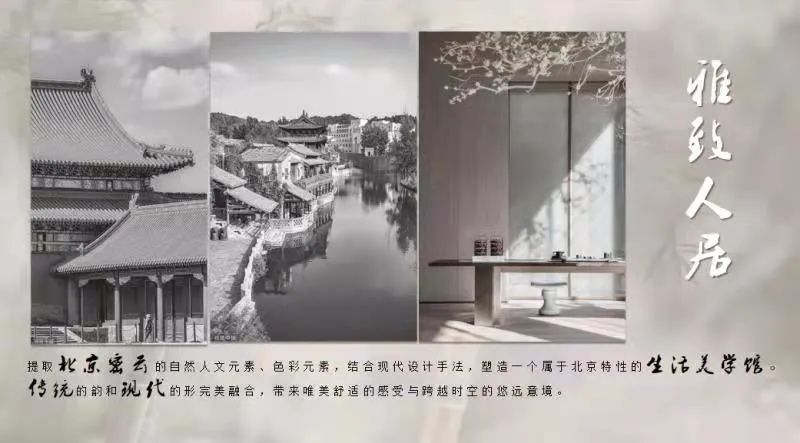 【上荷新作】“归山游记”之山水画中游设计案例