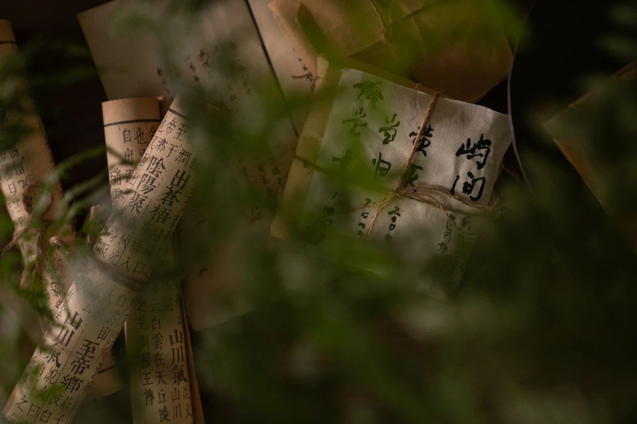 藏在山海经里的美学| RESOLUTE设计案例