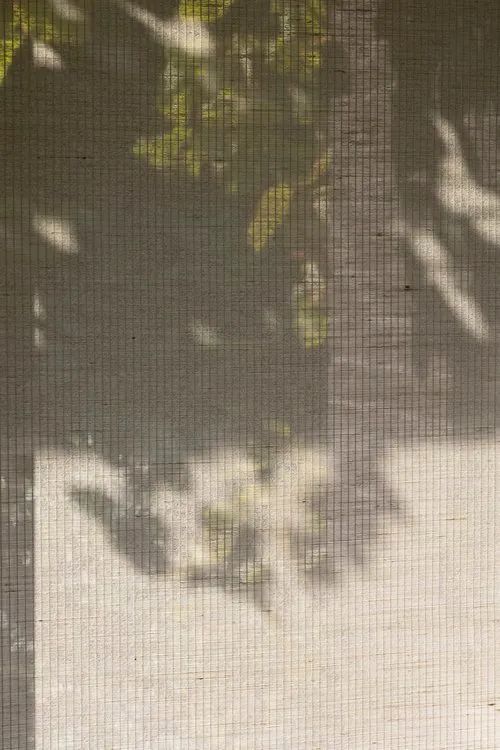 比利时极简，高级的优雅 | Belgian Minimalist设计案例