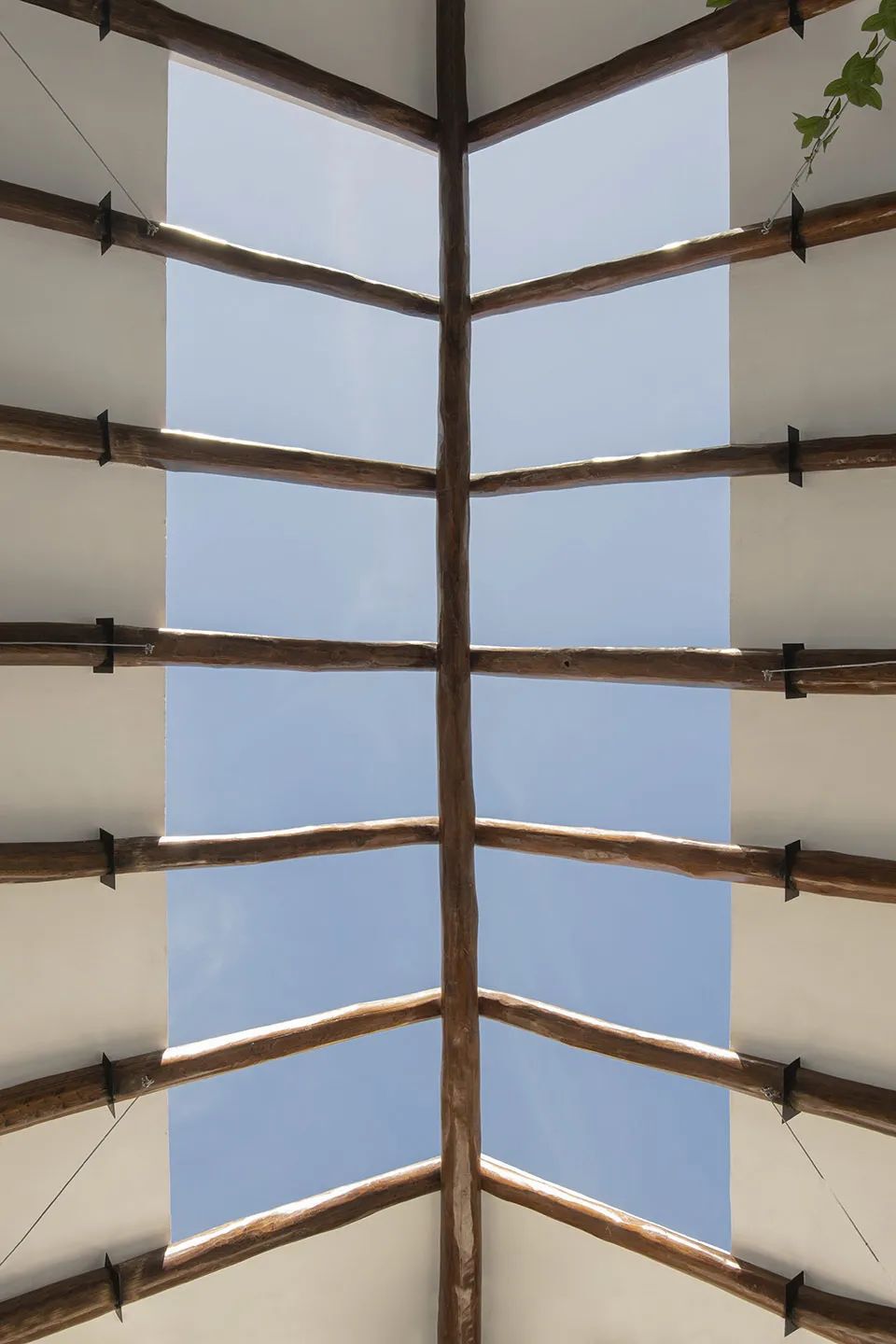 海边的“palapa”小屋 Mirlo住宅 | Palma设计案例