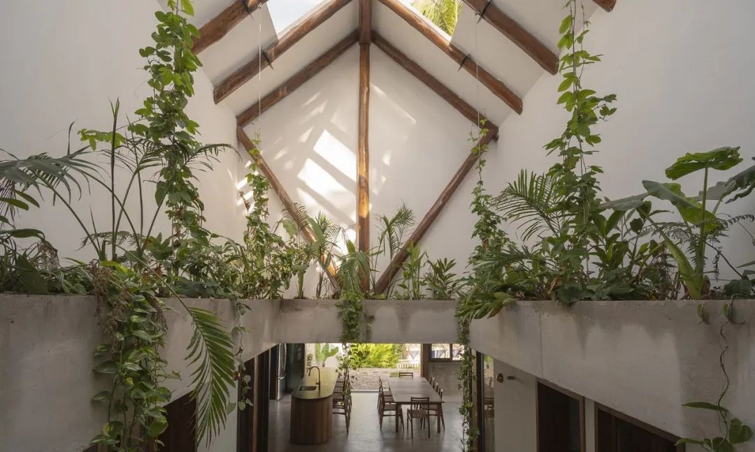 海边的“palapa”小屋 Mirlo住宅 | Palma设计案例