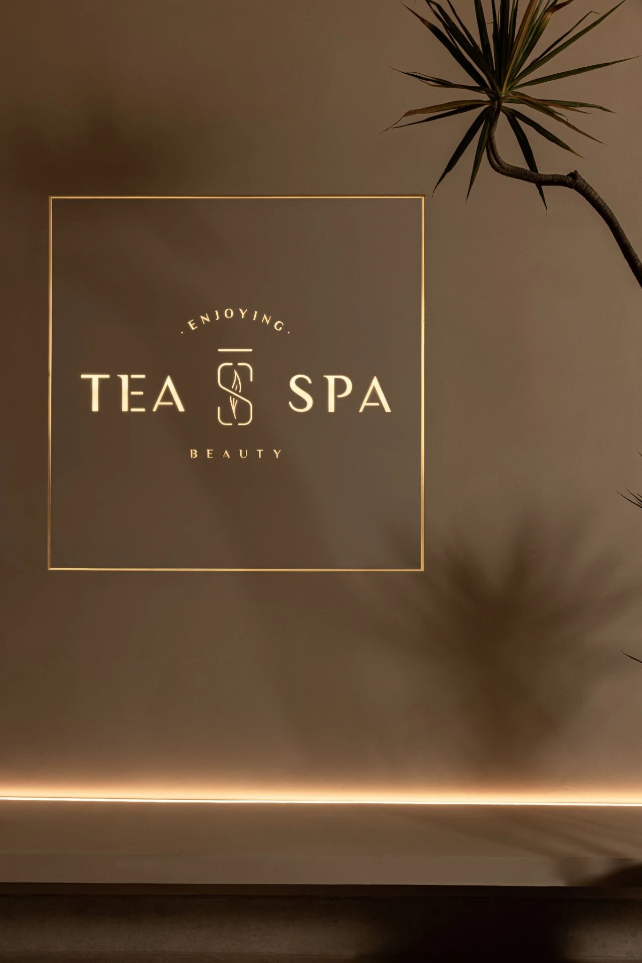 天目里 Tea Spa，神性的疗愈 | 设谷设计事务所设计案例
