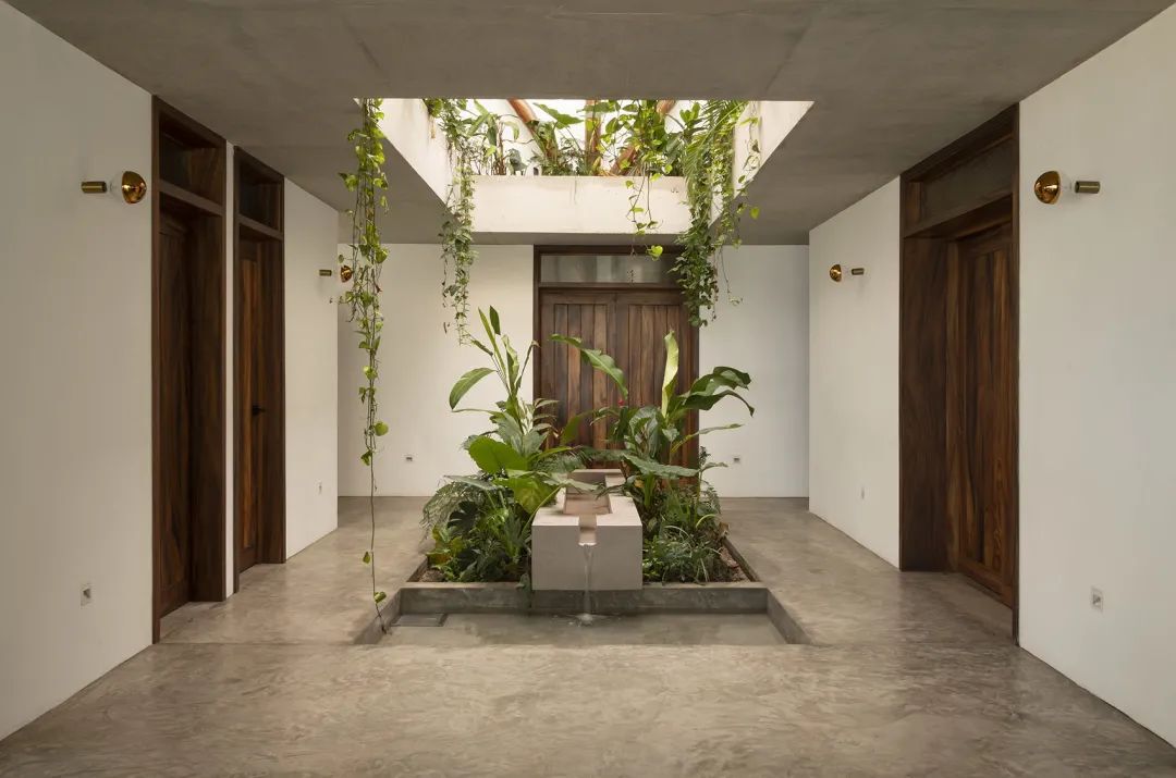 海边的“palapa”小屋 Mirlo住宅 | Palma设计案例