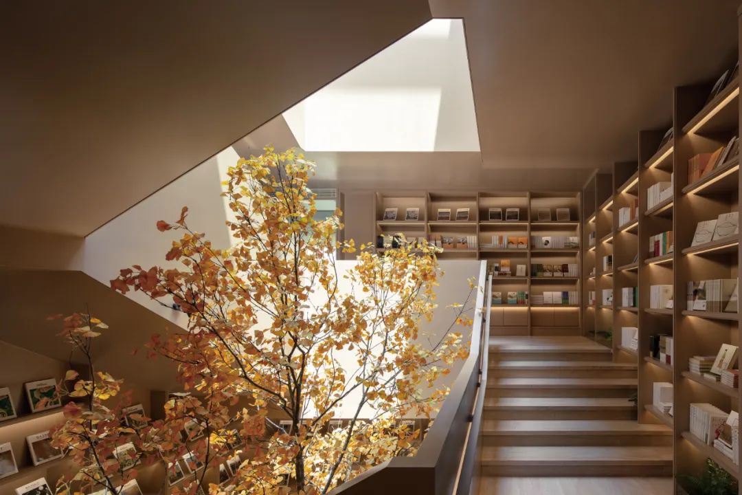 光的中庭：泊心域社区邻里中心 | LSD Interior Design设计案例