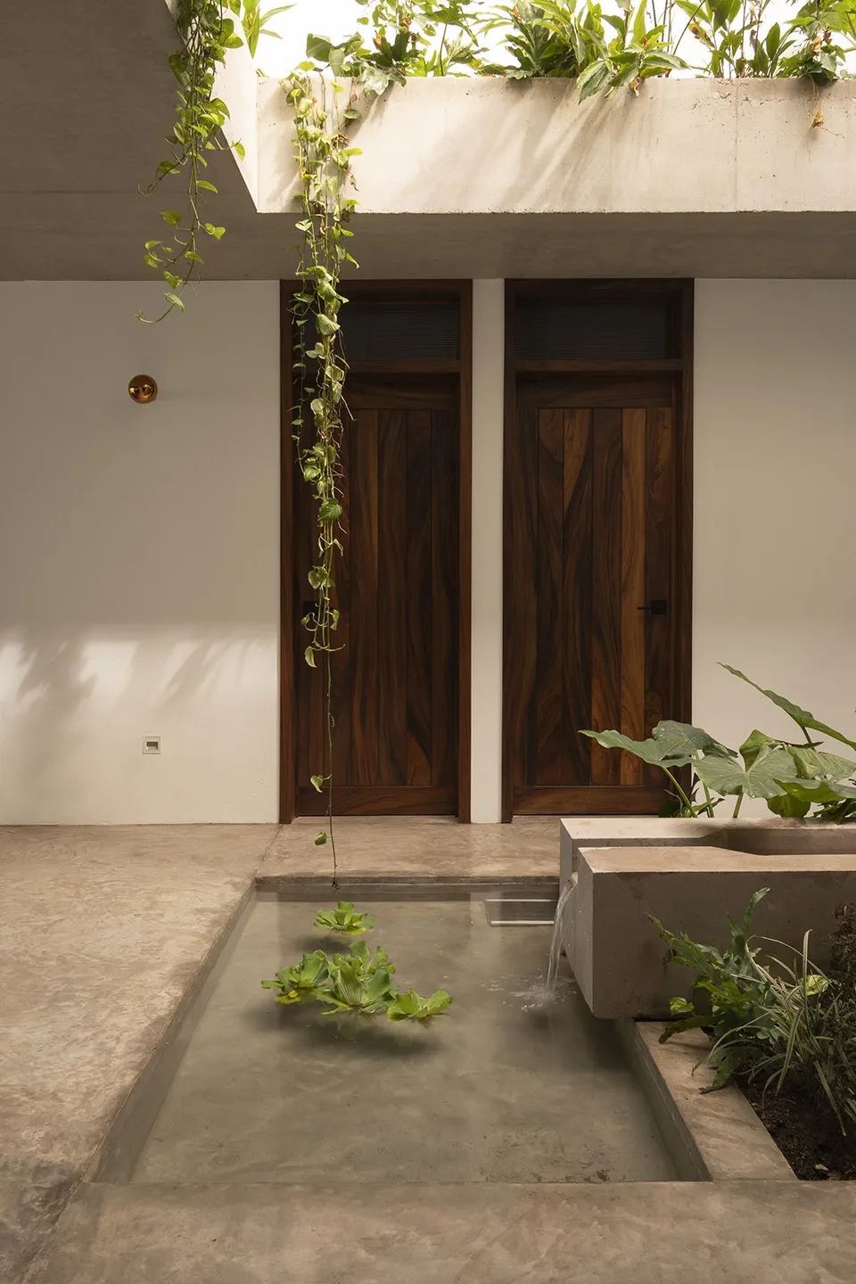 海边的“palapa”小屋 Mirlo住宅 | Palma设计案例