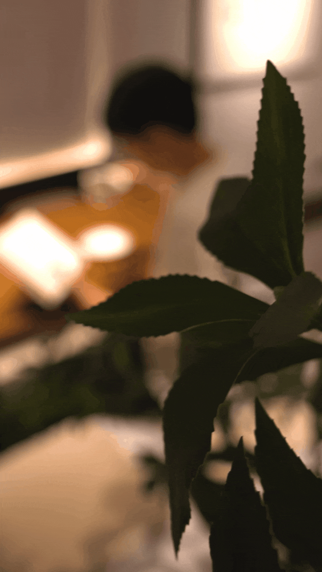 GNU金秋设计| 35㎡山间咖啡馆设计案例