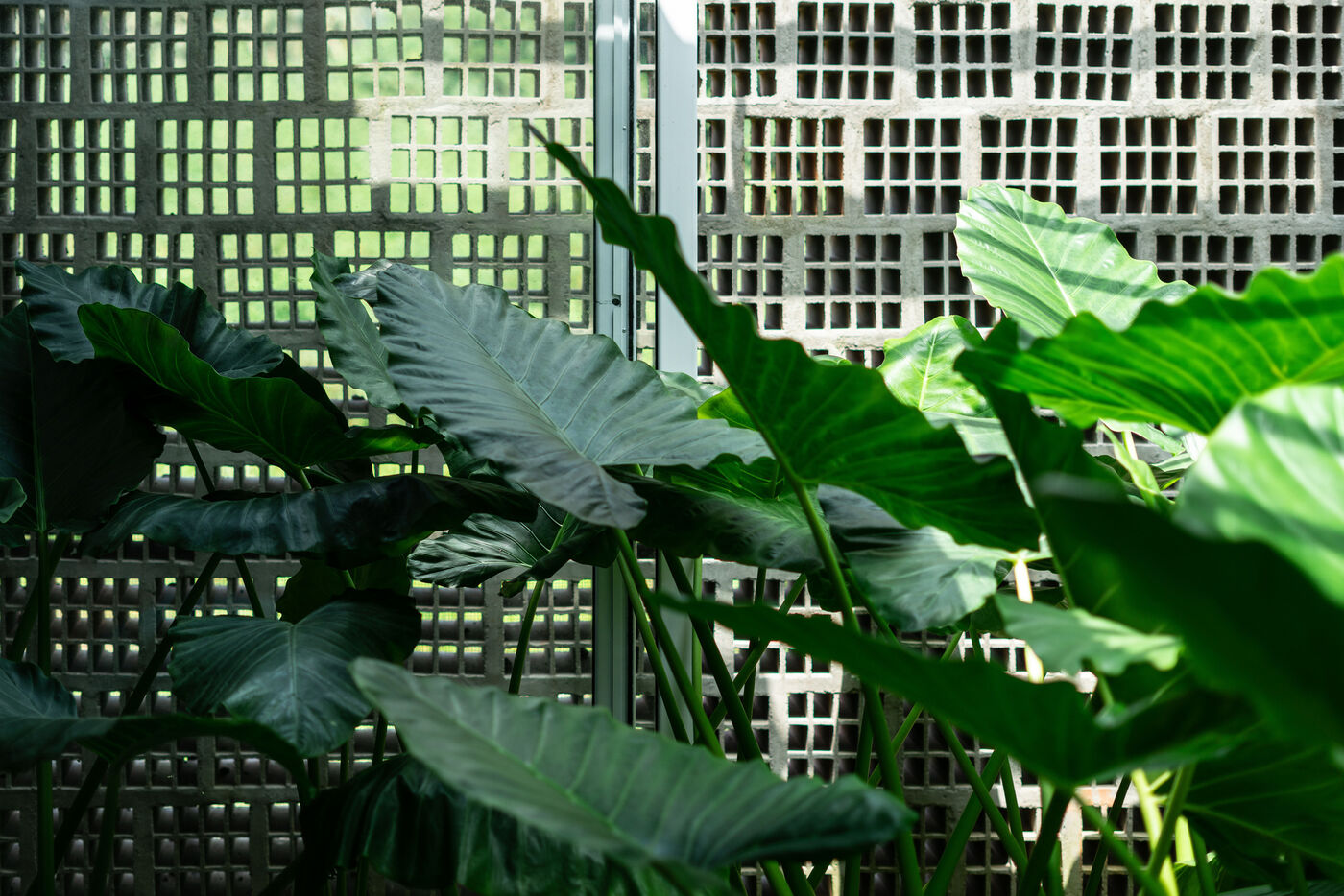 融于自然的宁静居所设计案例