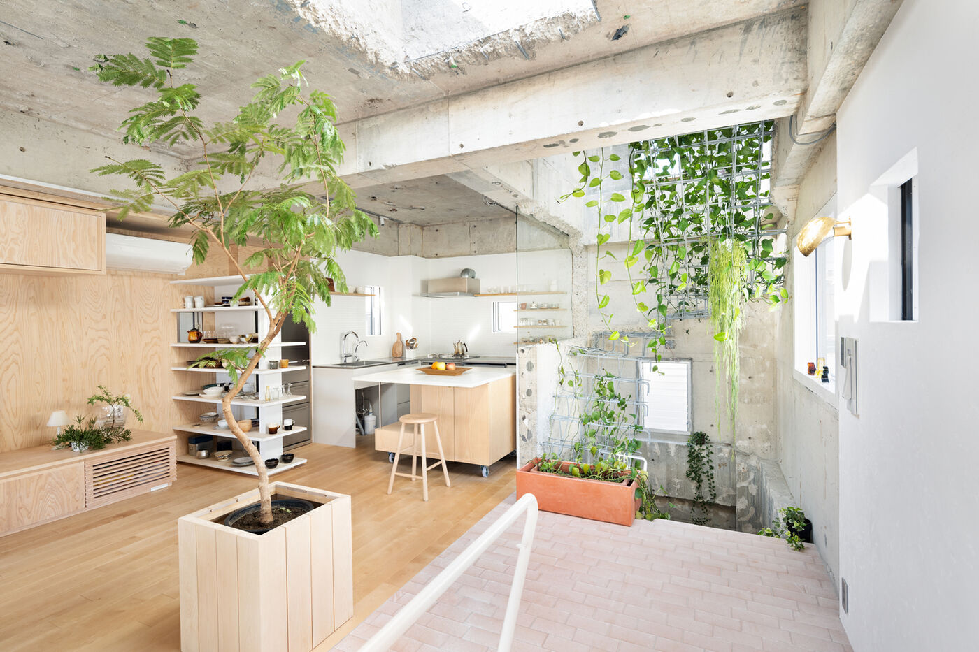 独特的日式独栋别墅 小空间的利用 House in Myougadani设计案例
