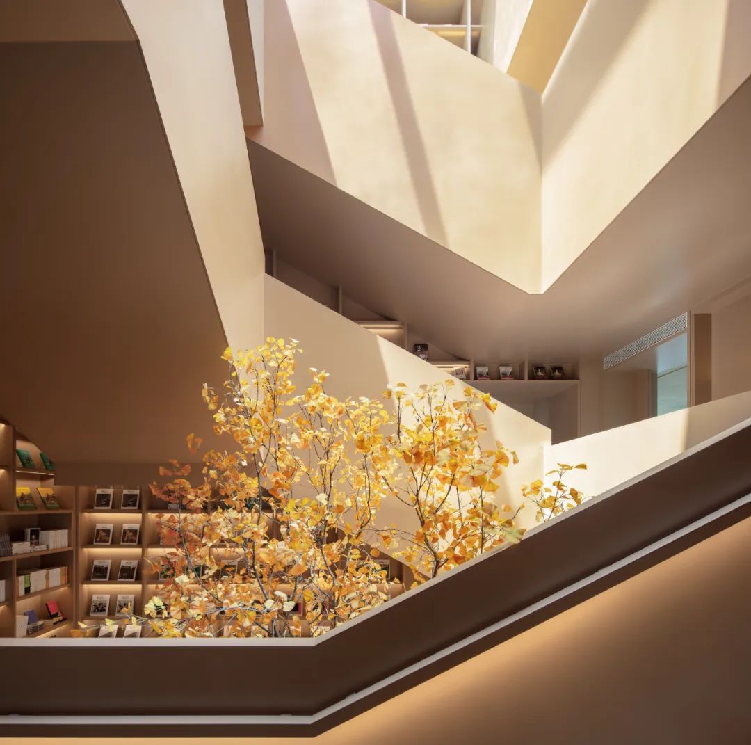 光的中庭：泊心域社区邻里中心 | LSD Interior Design设计案例