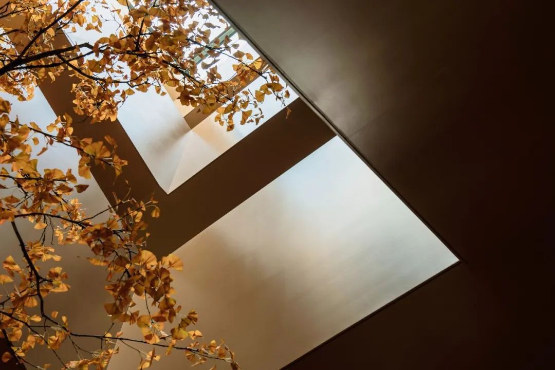 光的中庭：泊心域社区邻里中心 | LSD Interior Design设计案例