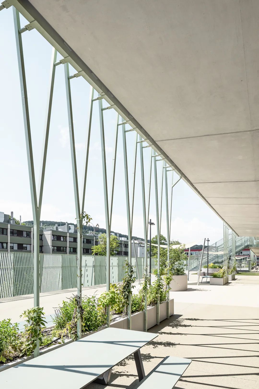 奥地利维也纳学校综合体 | SHIBUKAWA EDER Architects设计案例