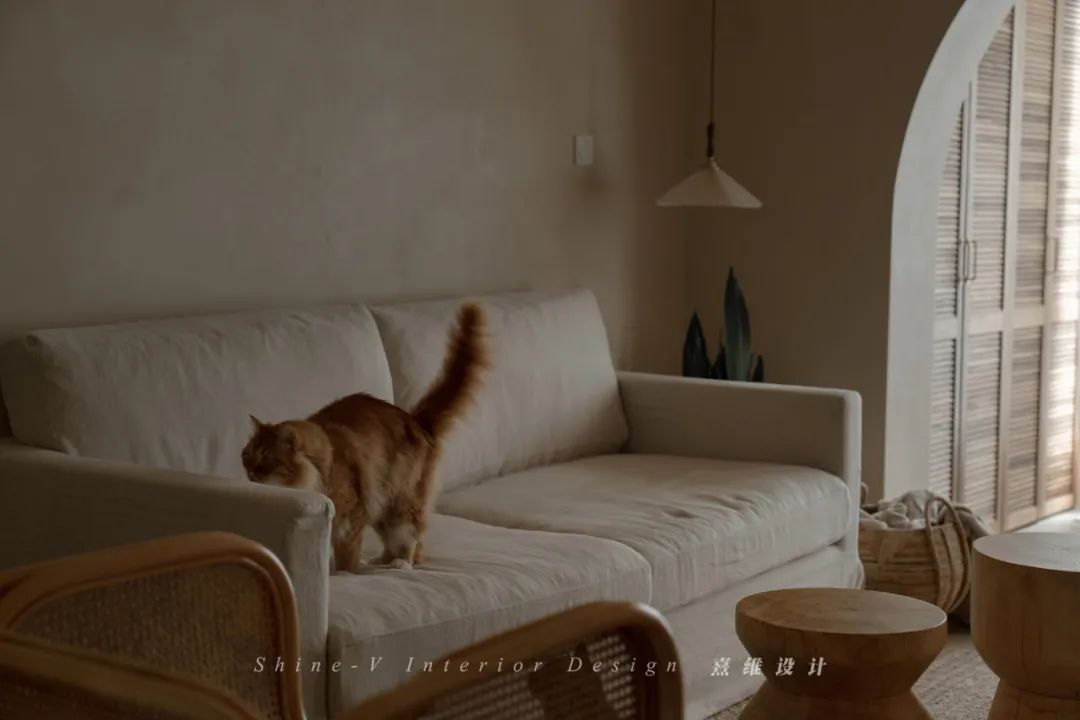 两个人和五只猫的侘寂生活 | 熹维设计设计案例