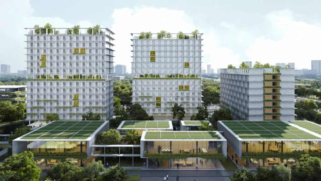 岭南造园子佛山一中顺德学校 | 陈东华建筑事务所|顺德院设计案例