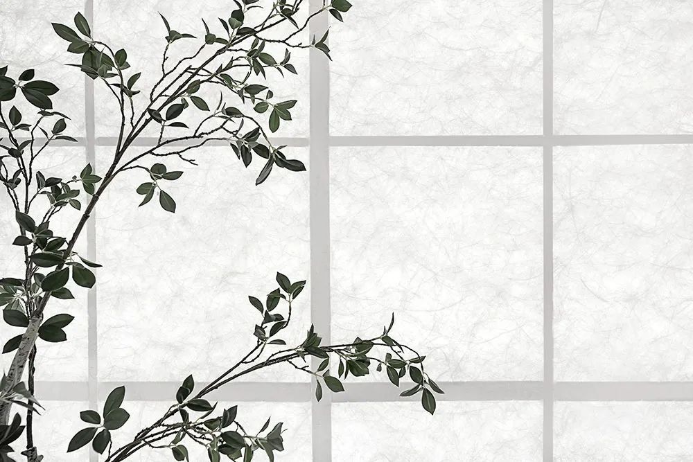 常熟瑜伽馆：一次在高层写字楼的“造园”实验 | 夏天设计工作室 设计案例