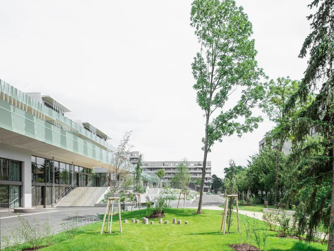 奥地利维也纳学校综合体 | SHIBUKAWA EDER Architects设计案例