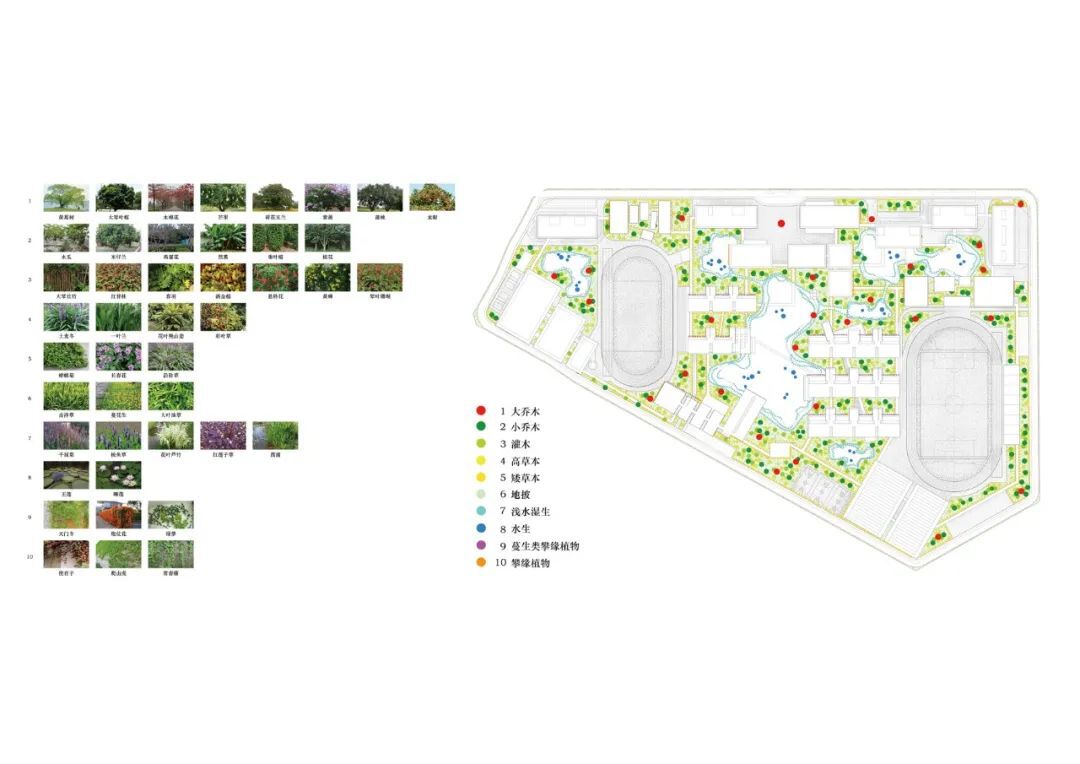 岭南造园子佛山一中顺德学校 | 陈东华建筑事务所|顺德院设计案例