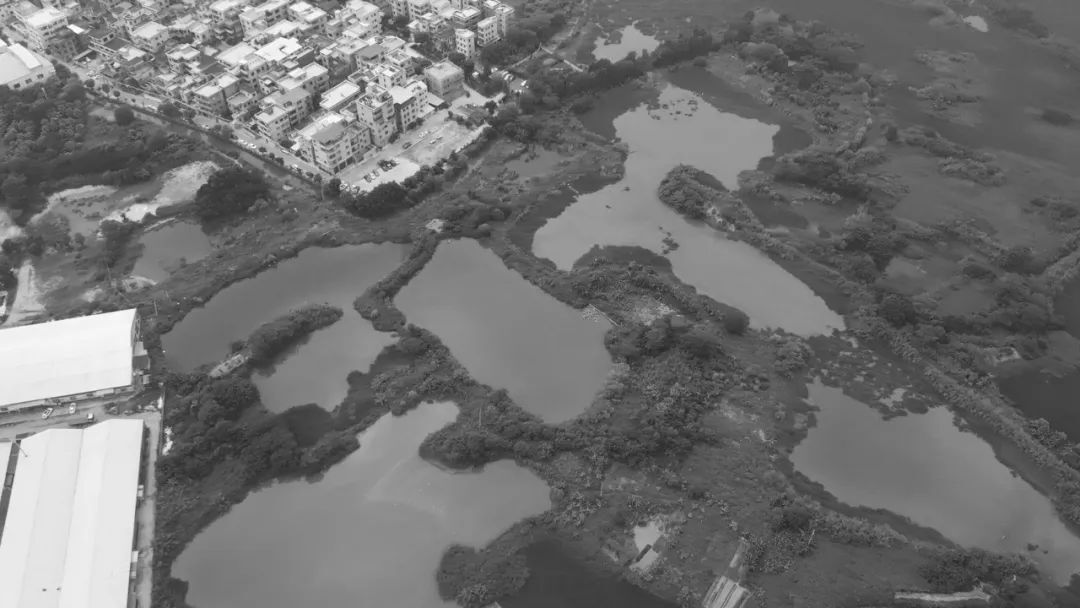 岭南造园子佛山一中顺德学校 | 陈东华建筑事务所|顺德院设计案例
