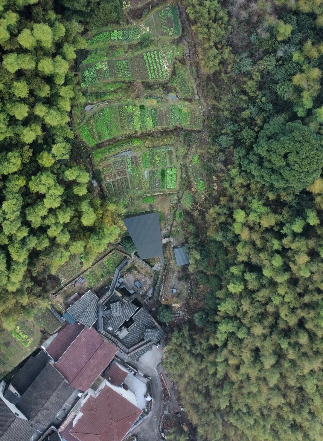 HEI建筑设计工作室丨Hei店莫干民宿设计案例