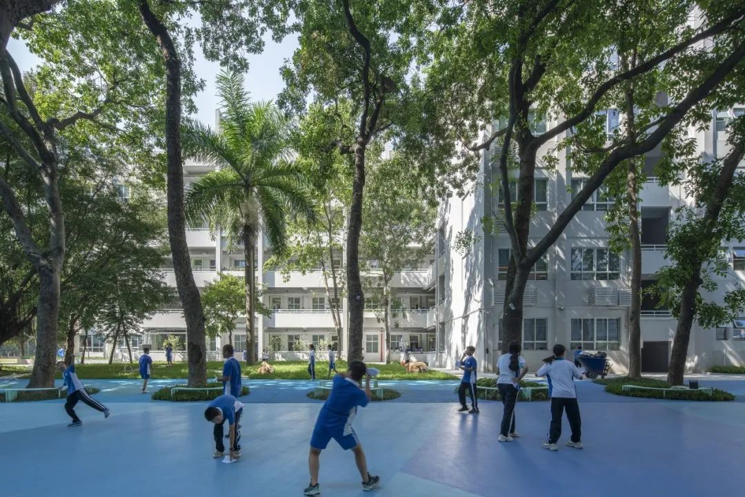 多重建筑丨深圳前海学校改造设计案例