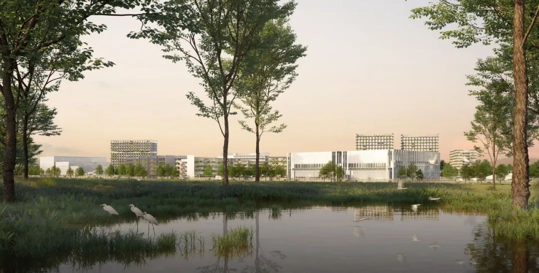 岭南造园子佛山一中顺德学校 | 陈东华建筑事务所|顺德院设计案例