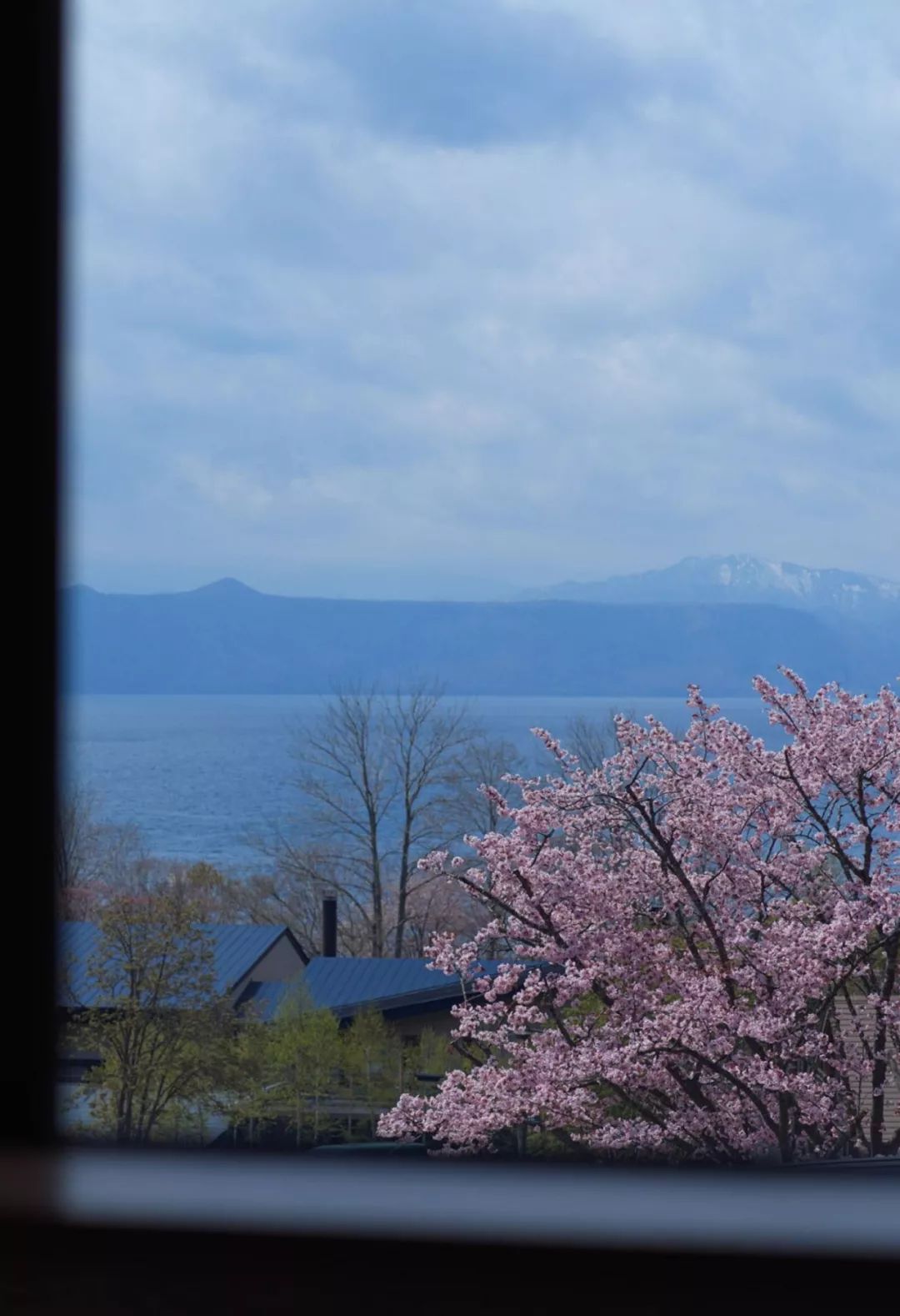 北海道新开的温泉艺术酒店，将夯土做到了！设计案例