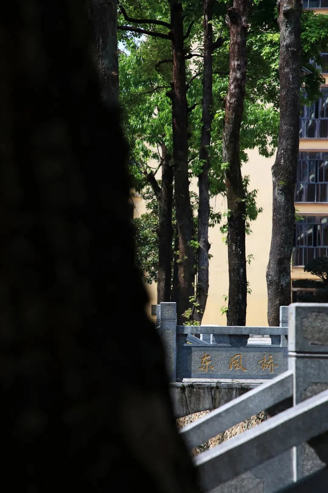 丰间建筑丨一座深藏在云和小县城的校史馆设计案例