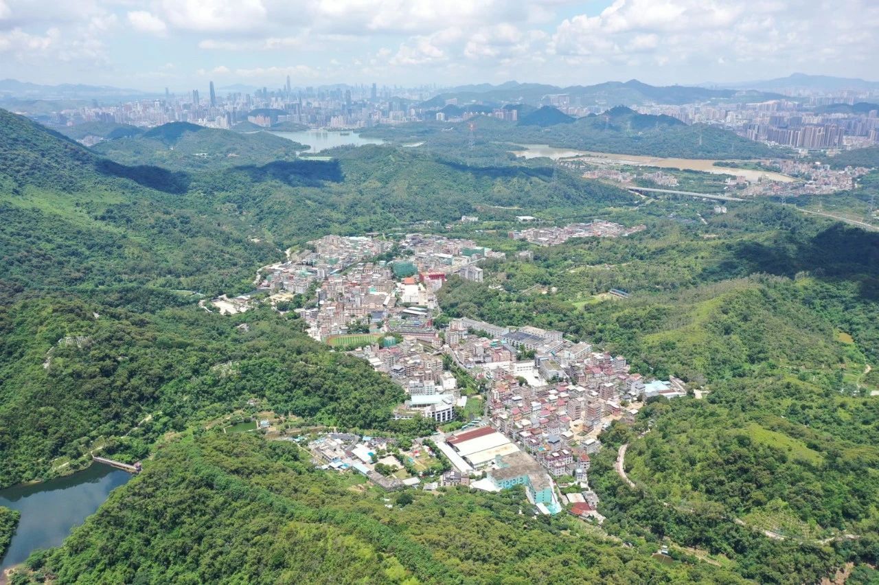  李益中 梧桐山院，老宅新生设计案例