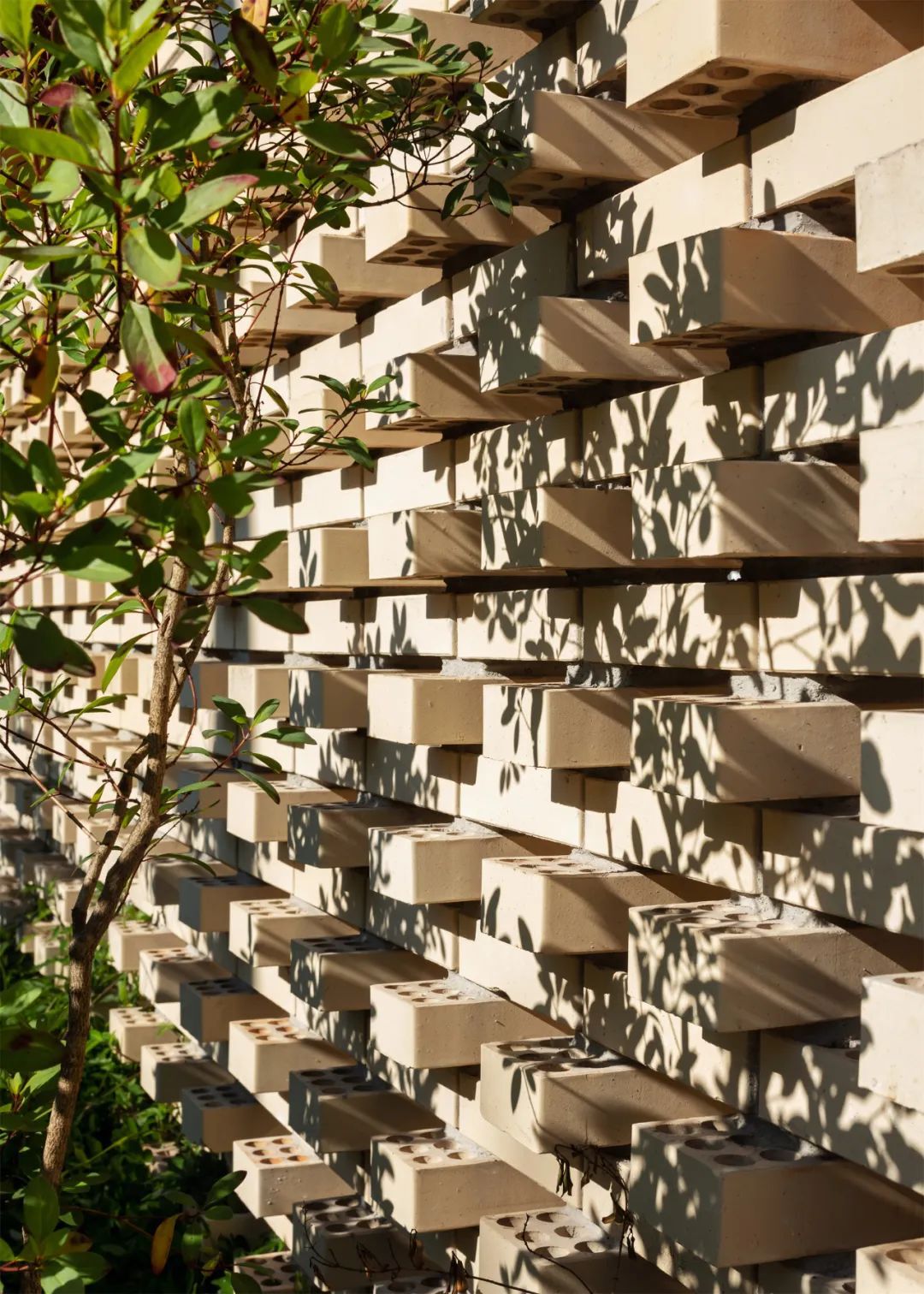 “公园学校”，市立幼儿教育校园丨 Gabriella Ornaghi Arquitetura da Paisagem设计案例