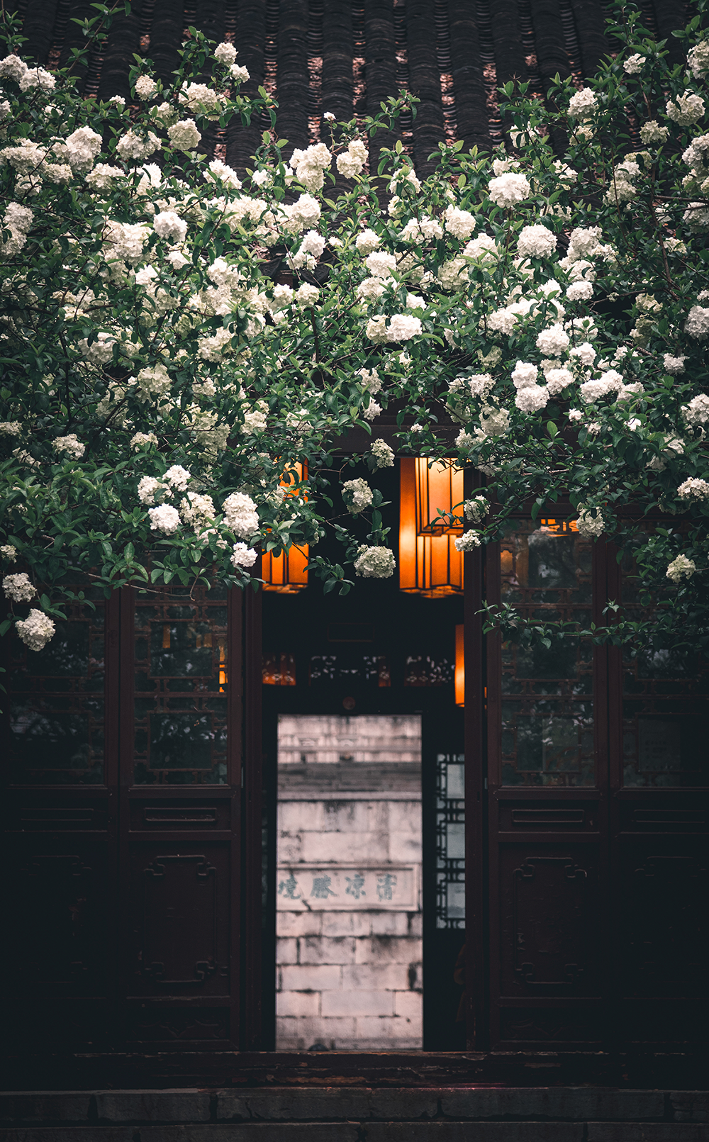 CCD | 一方金陵，千面風流设计案例
