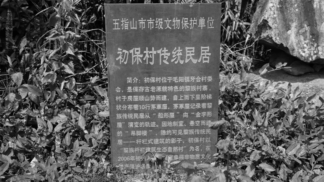 蓝调国际丨海南神玉岛野奢酒店 设计案例