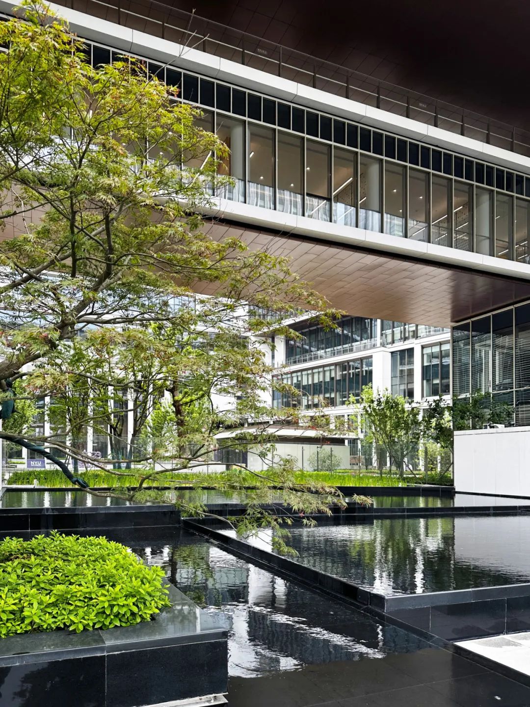 KPF 丨上海纽约大学设计案例