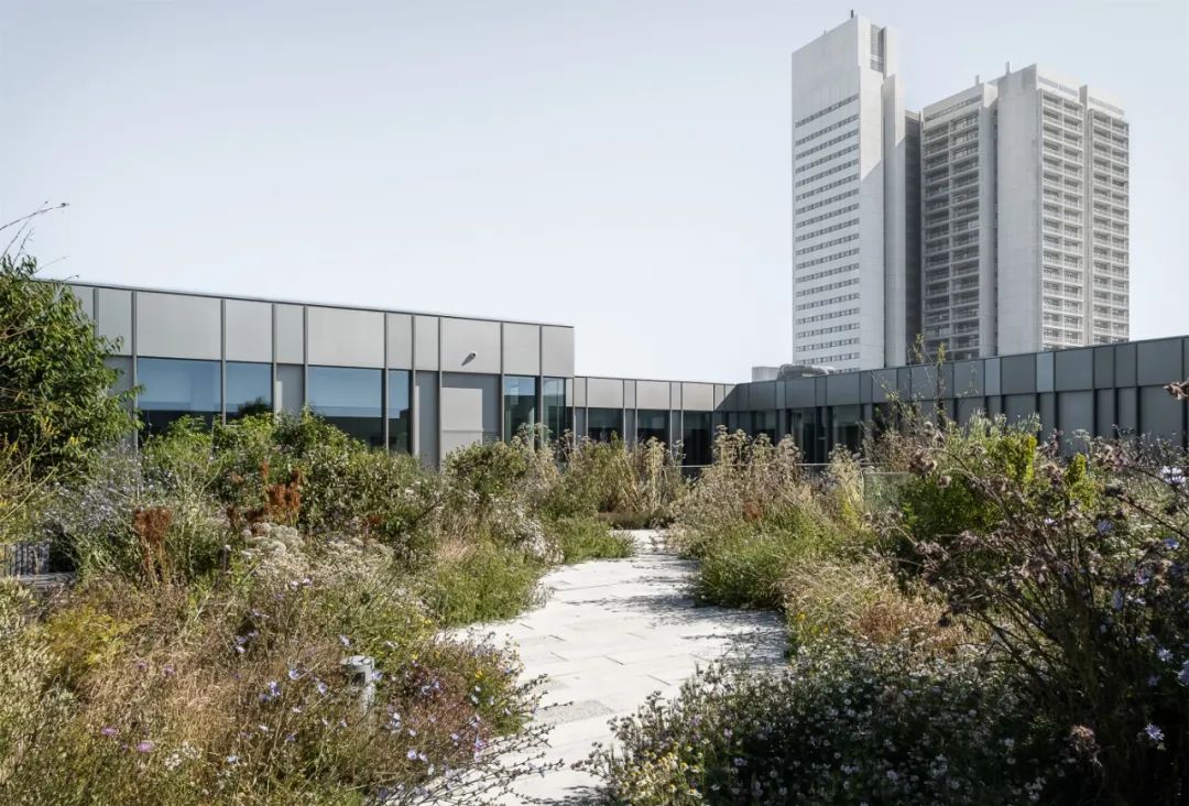 Vilhelm Lauritzen Architects丨哥本哈根斯泰诺糖尿病中心设计案例