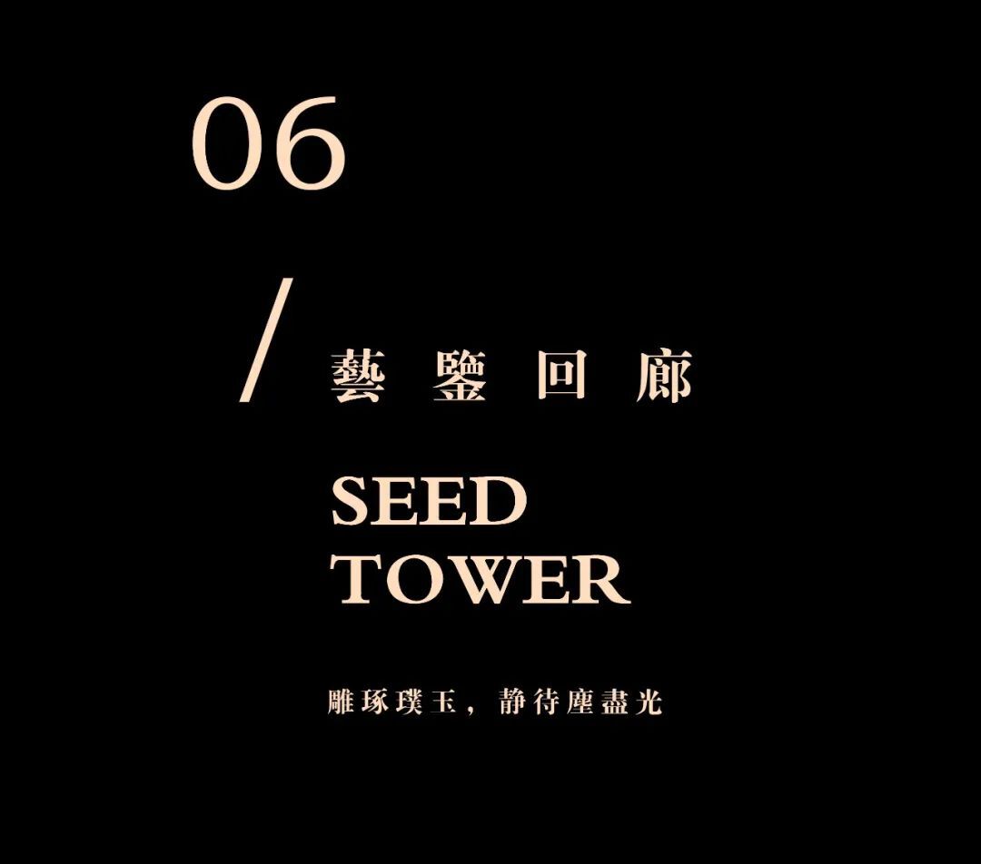 中建X赛拉维 | 园中院 · 游雅集设计案例