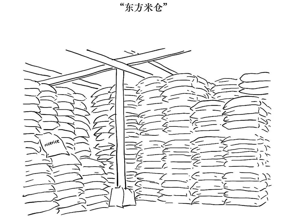 say architects | nice rice好饭上海旗舰店设计案例