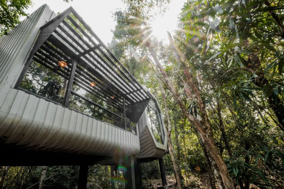 Bensley丨全包式豪华探险之旅，柬埔寨豆蔻雨林营地 设计案例