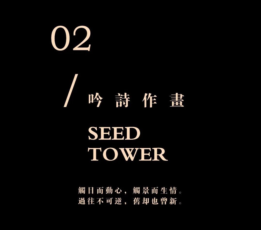 中建X赛拉维 | 园中院 · 游雅集设计案例