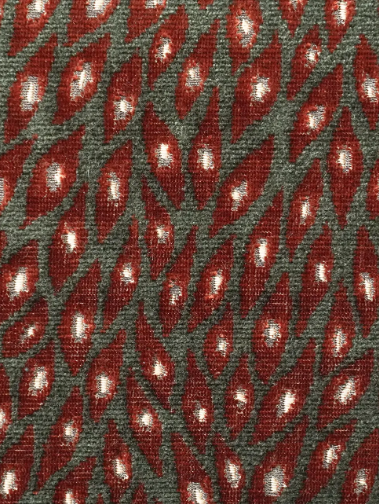 Ivy