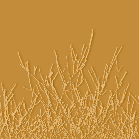 Enamel panels