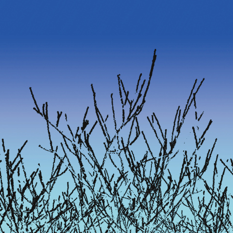 Enamel panels