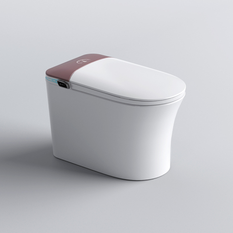 Smart Toilet M979