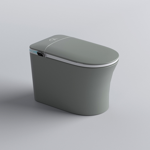 Smart Toilet M979Colour