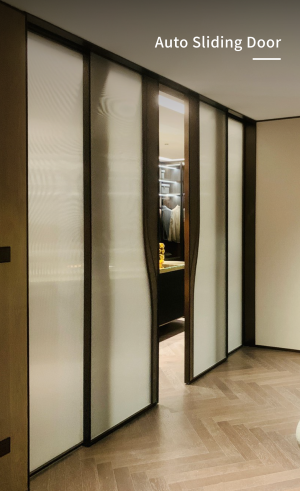 Auto Sliding Door
