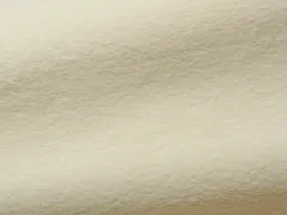 Sofa Cushion Fabric