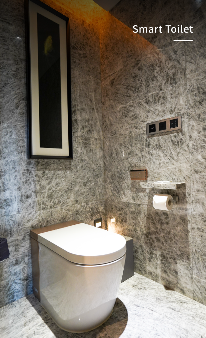 Smart Toilet