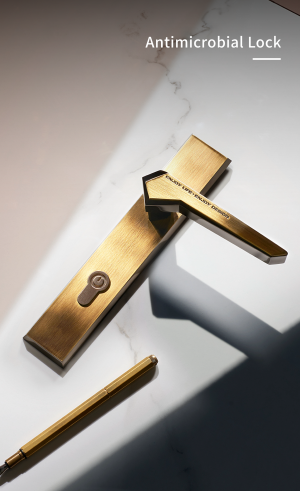 Antimicrobial Lock